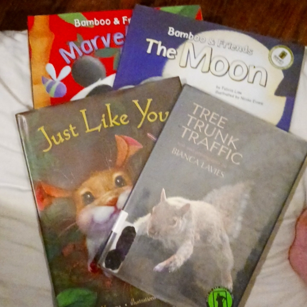 Various children's animal books